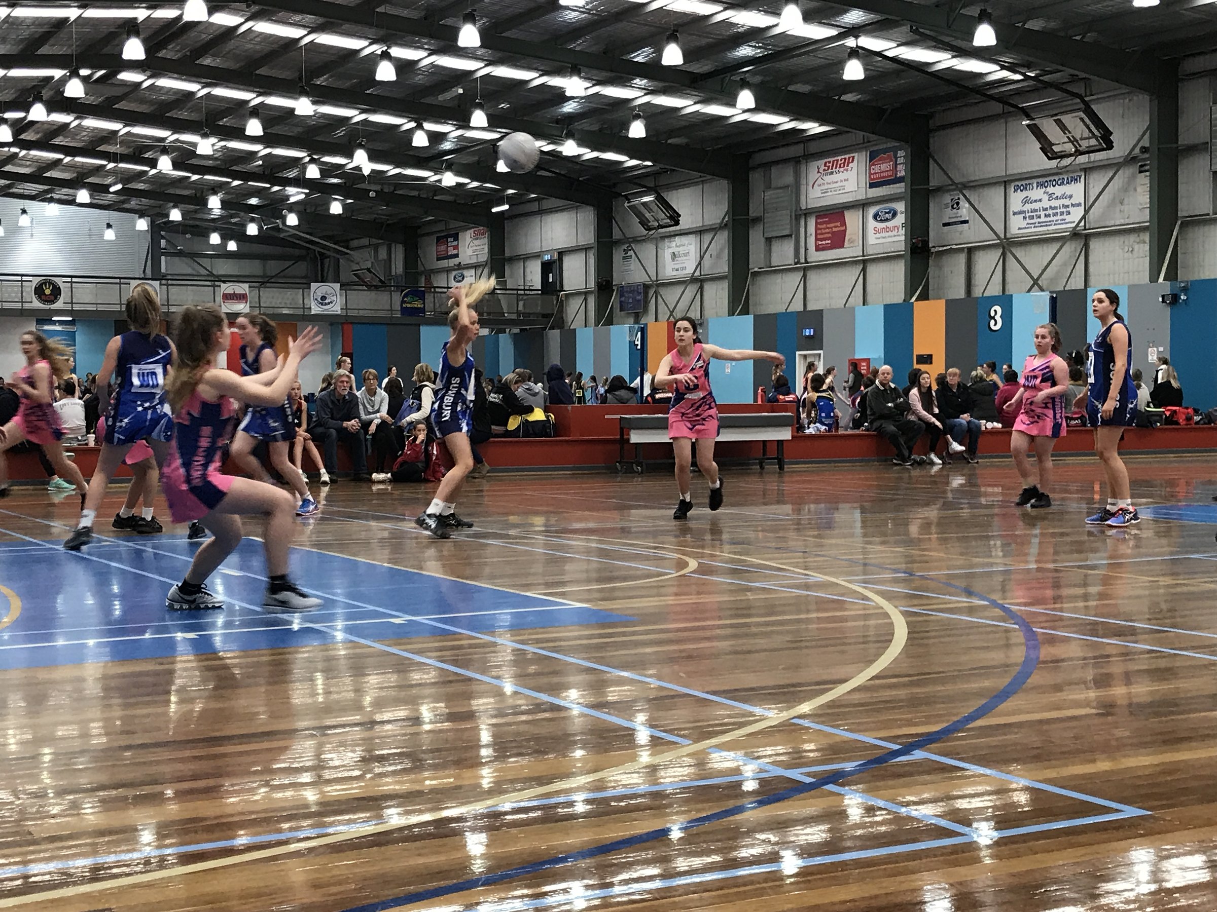 Jaguars on court on game night
